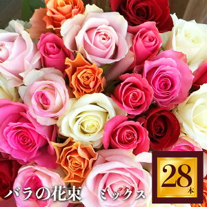 yӂ邳Ɣ[ŁzHeguri Rose ỏԑi28{j| KN ΂ t[ Q̃o ԑ Quh a LO jޗǌ Q
