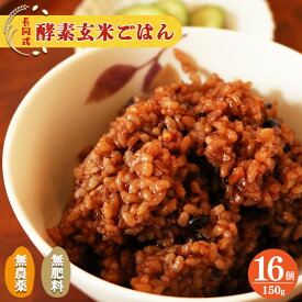 【ふるさと納税】酵素玄米 ごはん(長岡式)150g×16個 もちもち 美味しい 酵素ごはん 美容 健康 酵素 パウチ パック 冷凍 ヘルシー パックライス 玄米 米