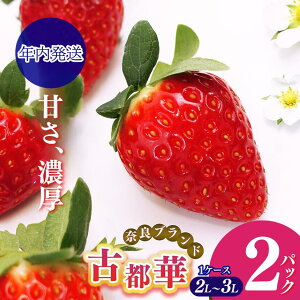 yӂ邳Ɣ[Łzs N t Q́u Ós v 2L ` 3L TCY i2pbN 1P[Xj v2pbN | ʌ!! Ԍ t[c ʕ  uh  Â lC 12 { 