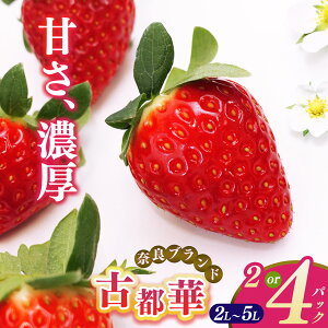 yӂ邳Ɣ[Łz  Q̌Ós 2L`5LTCY i2`4pbN 1`2P[Xj v2`4pbN Җ{_ | ʕ  t[c  C`S  Xgx[ Ós Ƃ {̕i Yn