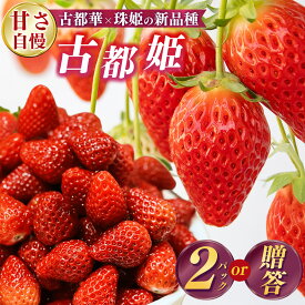 【ふるさと納税】希少『古都姫（ことひめ）』奈良県産 いちご | 果物 くだもの フルーツ 苺 イチゴ いちご ストロベリー 古都華 ことか 古都姫 ことひめ 珠姫 たまひめ 贈答 贈り物 桐箱 ギフト 旬の品種 奈良県 平群町