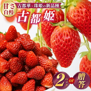 yӂ邳Ɣ[Łz  󏭁wÓsPiƂЂ߁jxޗǌY  | ʕ  t[c  C`S  Xgx[ Ós Ƃ ÓsP ƂЂ P ܂Ђ  蕨 