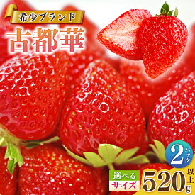 【ふるさと納税】 いちご 【サイズが選べる！】平群の古都華 扇田農園 | 果物 くだもの フルーツ 苺 イチゴ いちご 古都華 ことか 奈良県 平群町 限定出荷 ふるさと納税 苺 ふるさと苺 高級 ブランド苺 旬 産地 直送 扇田農園