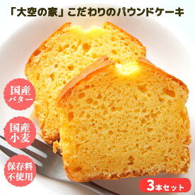 【ふるさと納税】「大空の家」×こだわりパウンドケーキ（3本入り）チョコレート　バター　オレンジ　安心素材