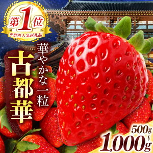 yӂ邳Ɣ[Łz  yIׂeʁzQ̌Ós M`3LTCY 500g`1000g i2`4pbNj | s\ t[c ʕ  uh   Ós Ƃ i  x r