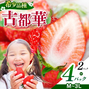 �y�ӂ邳�Ɣ[�Łz�y�I�ׂ���e�ʁz���Q�̌Ós�� 2L�`3L or M�`L �T�C�Y | �ʕ� �������� �t���[�c � �C�`�S �X�g���x���[ �Ós�� ���Ƃ� �{�̕i�� �t�[�h���X �Y�n���� �ޗǌ� ���Q��