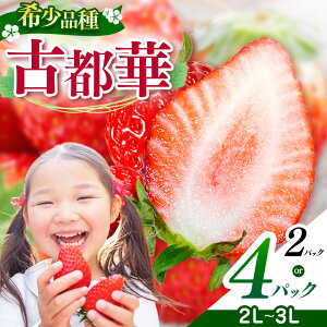 yӂ邳Ɣ[ŁzQ̌Ós 2L`3LTCY i2`4pbN 1`2P[Xj v2`4pbN OKADAt@[ | ʕ  t[c  C`S  Xgx[ Ós Ƃ {̕i t[h