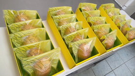 【ふるさと納税】ケーキ工房菜の花 純朴レモンケーキ (5個入り)食品添加物不使用