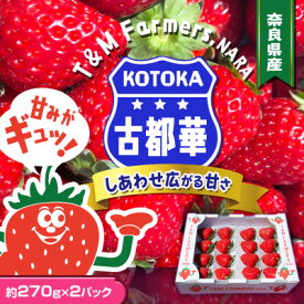 【ふるさと納税】いちご　古都華・ことか2パック(8～15粒入り/1pc)【配送不可地域：離島・北海道・沖縄県・東北】【1685936】