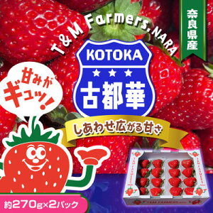 yӂ邳Ɣ[Łz@Ós؁EƂ2pbN(8`15/1pc)yzsnFEkCEꌧEkzy1685936z