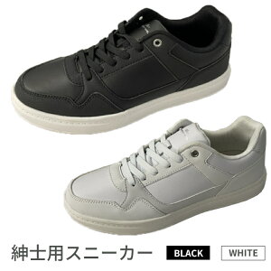 yӂ邳Ɣ[ŁzampXj[J[@BMS1593