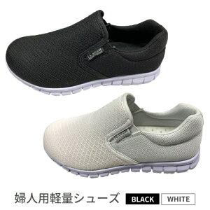 yӂ邳Ɣ[ŁzwlpyʃV[Y@FC5547