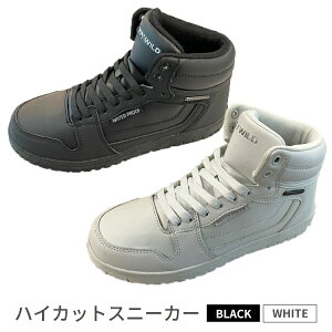 yӂ邳Ɣ[ŁznCJbgXj[J[@BLS5548