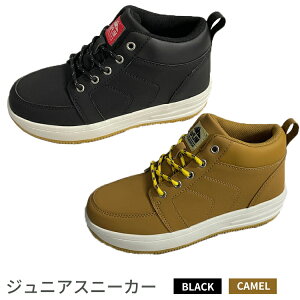 yӂ邳Ɣ[ŁzWjAXj[J[@MLS5803