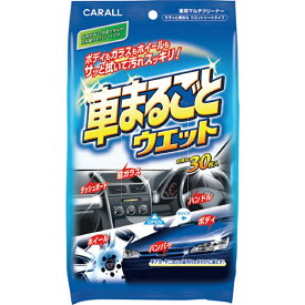 【ふるさと納税】車まるごとウエット 晴香堂 HARUKADO
