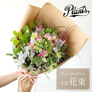 yӂ邳Ɣ[Łzԑ The Plants ܂  ① Mtg t[ AWg ̓ ̓ a j LO  