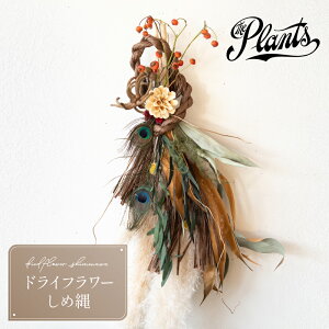 yӂ邳Ɣ[Łzߓ The Plants ܂ IWi  Ԍ Mtg  ԑ hC t[   1215\܂ N͂
