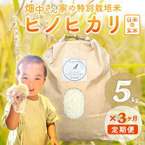 楽天市場】奈良県 ヒノヒカリ 30kgの通販