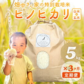 【ふるさと納税】【3ヶ月定期便】 特別栽培米（減農薬米） ｢ひのひかり｣ 白米 玄米 可 5kg ～10kg 奈良県 三宅町 ヒノヒカリ おいしい 冷めても もちもち 安心