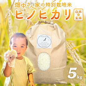 【ふるさと納税】特別栽培米（減農薬米） ｢ひのひかり｣ 白米 玄米 可 5kg ～10kg 奈良県 三宅町 ヒノヒカリ おいしい 冷めても もちもち 安心