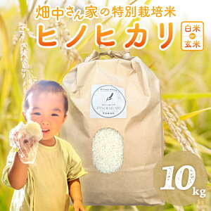 yӂ邳Ɣ[Łz R7NY\t ʍ͔|āi_āj Ђ̂Ђ    5kg `10kg ޗǌ O qmqJ  ߂Ă  S