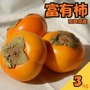 yӂ邳Ɣ[ŁzƂ̊` xL` 3kg