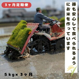 yӂ邳Ɣ[Łzy3ցzuЂ̂Ђv   5kg × 3 Ał͂ 15kg ޗǌ O uWčX qmqJ ߂Ă  ͔~l͔|