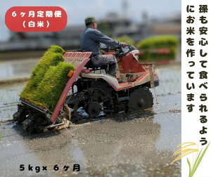 yӂ邳Ɣ[Łzy6ցzuЂ̂Ђv   5kg × 6 Ał͂ 30kg ޗǌ O uWčX qmqJ ߂Ă  ͔~l͔|