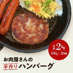 yӂ邳Ɣ[Łz   no[O i 100g × 20 j Ⓚ ȒP q lC y ٓ  O  ʔ   X