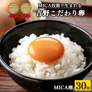 yӂ邳Ɣ[Łzg MICA LTCY 30 i27{ۏ3j yc{×g쒬ʕԗiz ^ V{{  ܂ ʎq  { Z ޗǌ{i]ŗDG܎ ޗǌ
