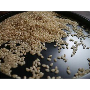 yӂ邳Ɣ[ŁzݘC () 5kg ^ Wc_g qmqJ  ͂ ޗǌ c{