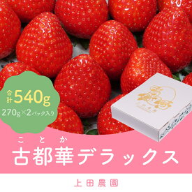 【ふるさと納税】（冷蔵）イチゴ 奈良県産高級ブランド品種「古都華」デラックス（270g×2パック） ／ 上田農園 苺 いちご 果物フルーツ 甘い 奈良県 田原本町