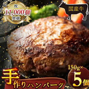 yӂ邳Ɣ[ŁziⓀj Y100 H׉_ E育 no[O 750g ^  Ɛ^ p Mtg ޗǌ c{
