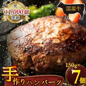 yӂ邳Ɣ[ŁziⓀj Y100 H׉_ E育 no[O 1050g ^  Ɛ^ p Mtg ޗǌ c{