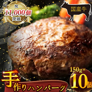 yӂ邳Ɣ[ŁziⓀj Y100 H׉_ E育 no[O 1500g ^  Ɛ^ p Mtg ޗǌ c{