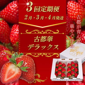 【ふるさと納税】（冷蔵）【定期便全3回】（2月・3月・4月）イチゴ 奈良県産高級ブランド品種「古都華」デラックス（270g×2パック） ／ 上田農園 苺 いちご 果物 フルーツ 甘い 奈良県 田原本町