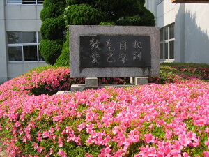 yӂ邳Ɣ[ŁzywZӂ邳Ɗ񕍋zc{kwZiԗiȂj10,000~