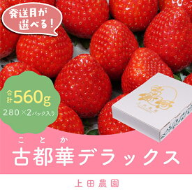 【ふるさと納税】【発送月が選べる】イチゴ 奈良県産高級ブランド品種「古都華」デラックス（280g×2パック） ストロベリー ことか 上田農園 苺 いちご 果物フルーツ 甘い 奈良県【tm-AS001】【上田農園】