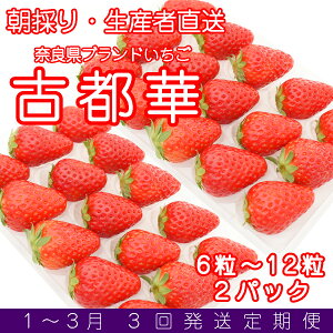 �y�ӂ邳�Ɣ[�Łz�y�L�˒�×�]�����A�g�ԗ�i�z�ޗǌ��u�����h������ �Ós�� ��270g2�p�b�N(6�`15������) / ������ �C�`�S �Ós�� �t���[�c �ʕ� �{ ���� �u�����h ���̂� ���n ������ ���Ƃ� 