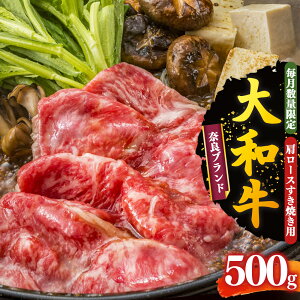 yӂ邳Ɣ[ŁzޗǌY a [X Ăp 500g y  ʌ z |  ɂ jN  ɂ IjN  a  O  ґ aH j ₫ ޗǌ 