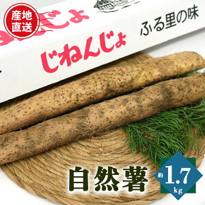 yӂ邳Ɣ[ŁzR Jbg 1.7kg |   C Ƃ ˂񂶂 {s ޗǌ 