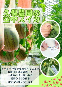 �y�ӂ邳�Ɣ[�Łz��� �v�ۂ���̋󒆃X�C�J | �X�C�J �󒆃X�C�J �ʕ� �t���[�c ���ʂȈ�i ���蕨 �ޗǌ� ��� �݂��ނ�