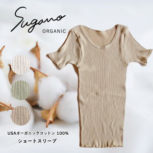 yӂ邳Ɣ[Łz Ci[  Rbg SuganoORGANIC V[gX[u t[TCY  USAI[KjbNRbg 100% |    I[KjbN V[gX[u Vc t[ XKmH[ 