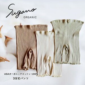 yӂ邳Ɣ[ŁzSuganoORGANIC 3pc t[TCY  USAI[KjbNRbg 100% |    I[KjbN Rbg Ci[  pc [EFA t[ XKmH[ ޗǌ 
