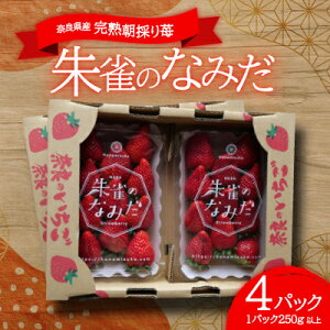 yӂ邳Ɣ[Łzp܂! 鐝̂Ȃ݂ (byԐy) 24p(1p250gȏ)Ntg×g[yzsnFzy1286860z