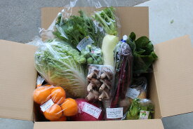 【ふるさと納税】あすか野菜の定期便