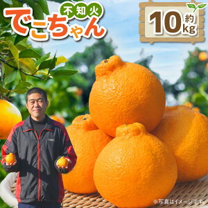 �y�ӂ邳�Ɣ[�Łz�s�m�΁@�ł������@��5kg or ��10kg�y���������z