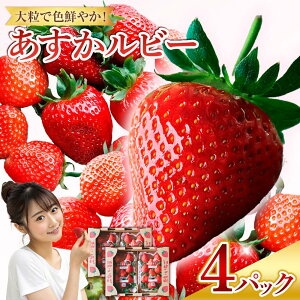 �y�ӂ邳�Ɣ[�Łz���������r�[�@2�p�b�Nor4�p�b�N�@�y���������z