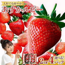 【ふるさと納税】あすかルビー　2パックor4パック　【明日香村】