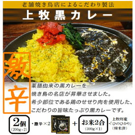 【ふるさと納税】【ご当地カレー】上牧黒カレー(激辛)2個+地元米(ひのひかり)2合をセット【1446988】